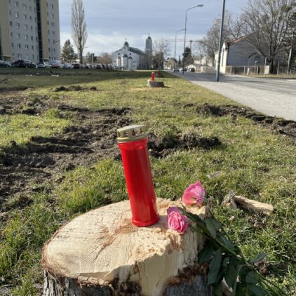 Gerodeter Baumstumpf mit Trauerkerze