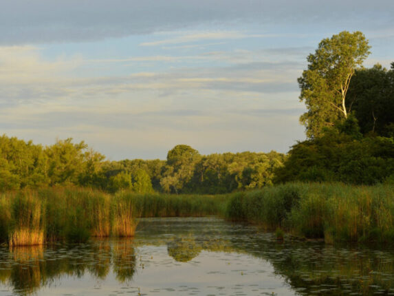 Schöne Lobau
