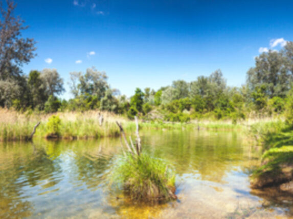 Schöne Lobau