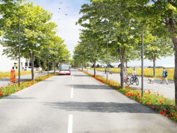 Neu gestaltete Hausfeldstraße mit Bäumen, Rad- und Gehwegen.