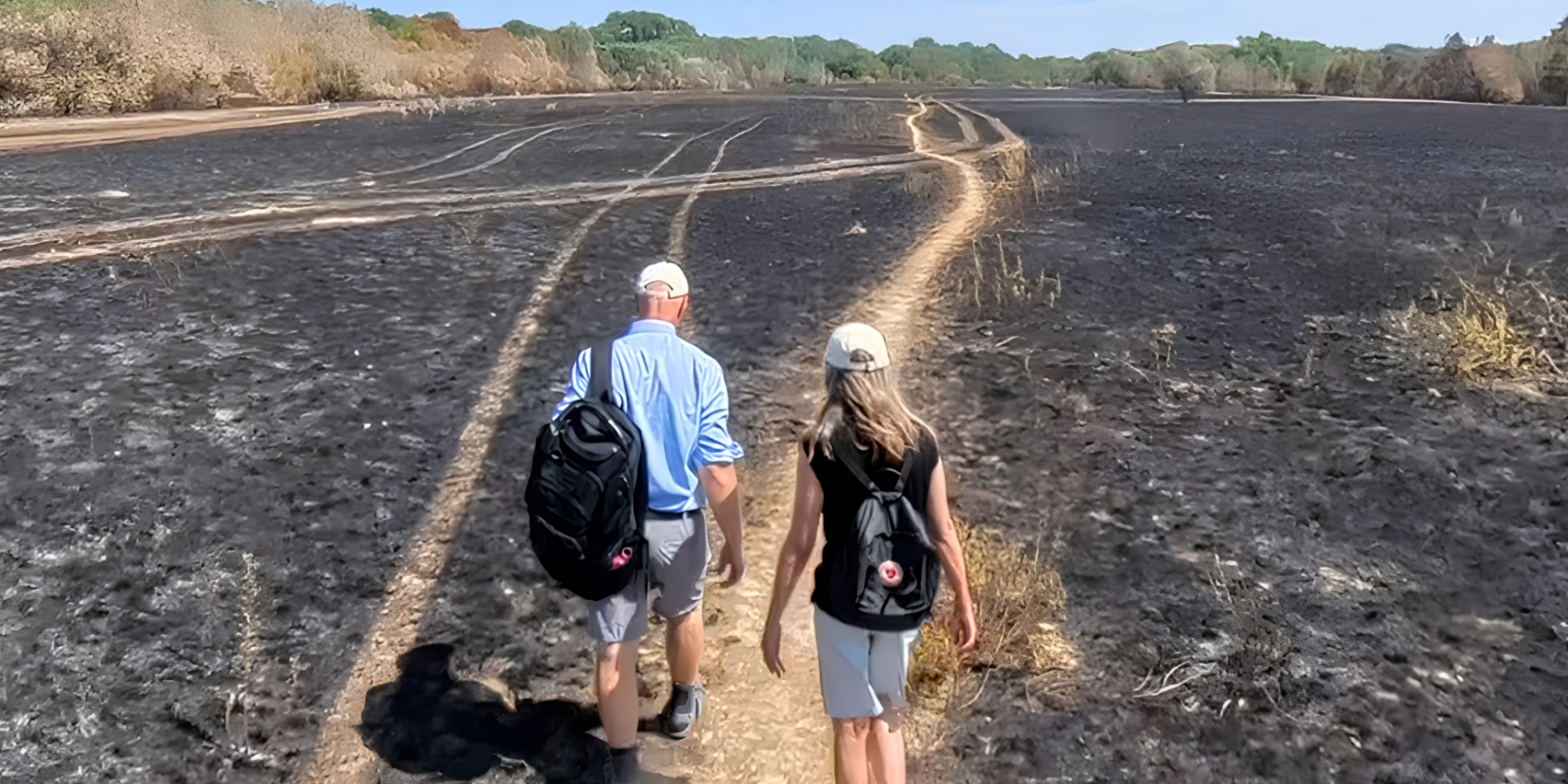 Die Grünen Donaustadt begutachten die Brandschäden in der Lobau
